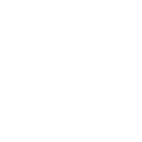 Bayiot
